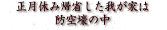 正月休み帰省した我が家は防空壕の中