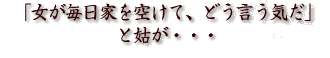 「女が毎日家を空けて、どう言う気だ」と姑が・・・