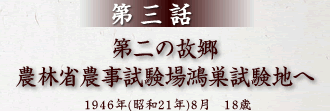 第3話 第二の故郷農林省農事試験場鴻巣試験地へ