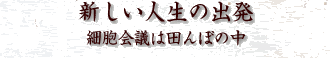 新しい人生の出発 細胞会議は田んぼの中