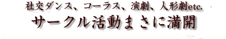 サークル活動まさに満開