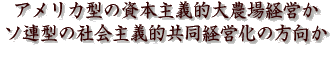 アメリカ型の資本主義的大農場経営かソ連型の社会主義的共同経営化の方向か